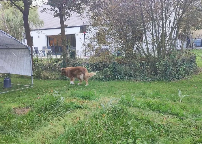 בית נופש Maison 4 11personnes Grand Jardin